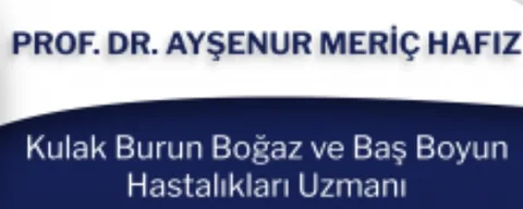 Prof. Dr. Ayşenur Meriç Hafız logo