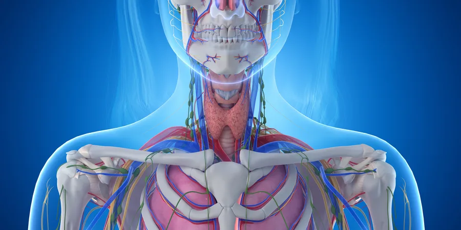 Operating theatre during head and neck surgery (stock image)